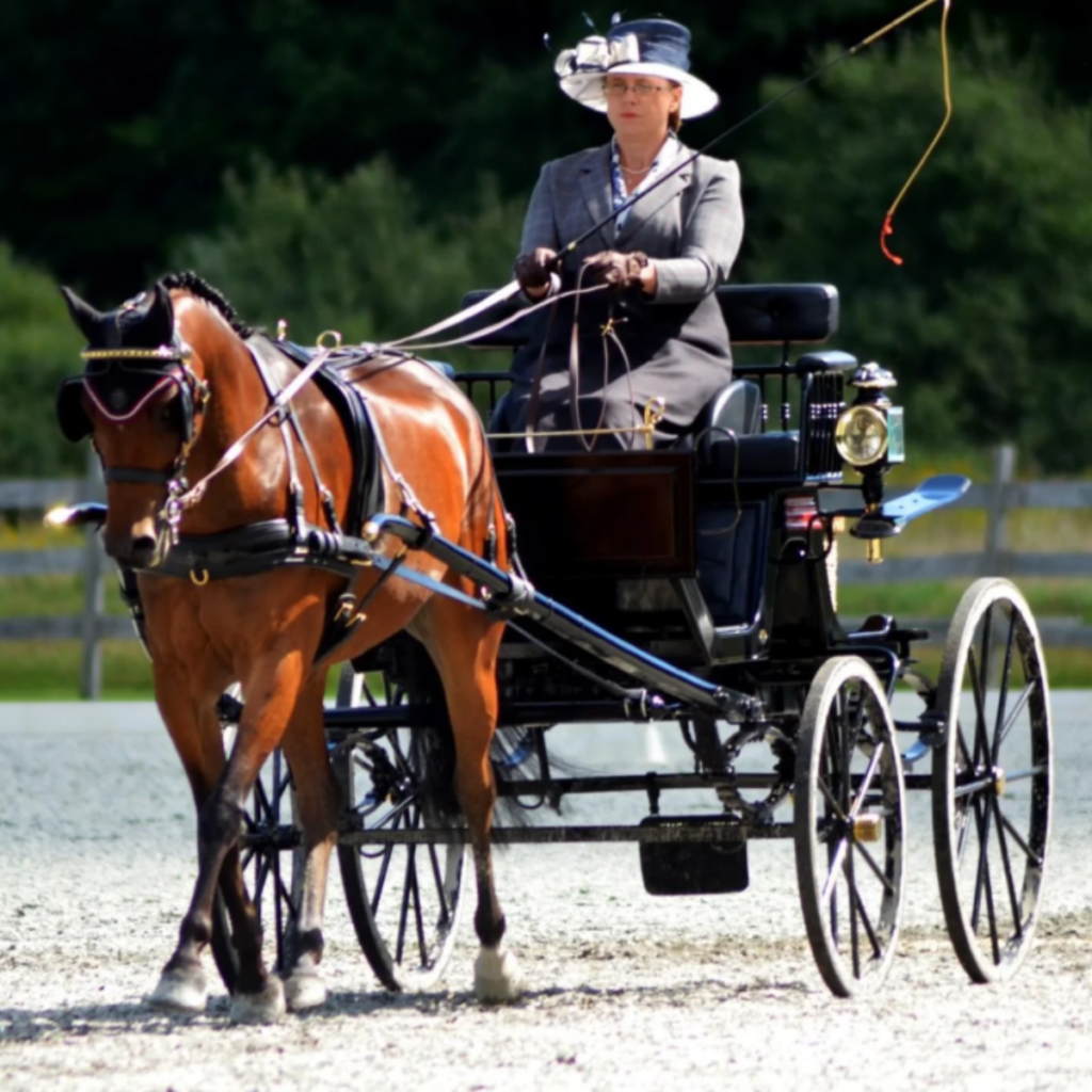 horse carriage – image of a passenger gripping the reins tightly
