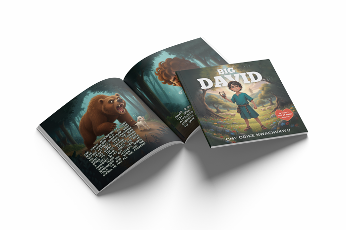 Mockup of the Big David book